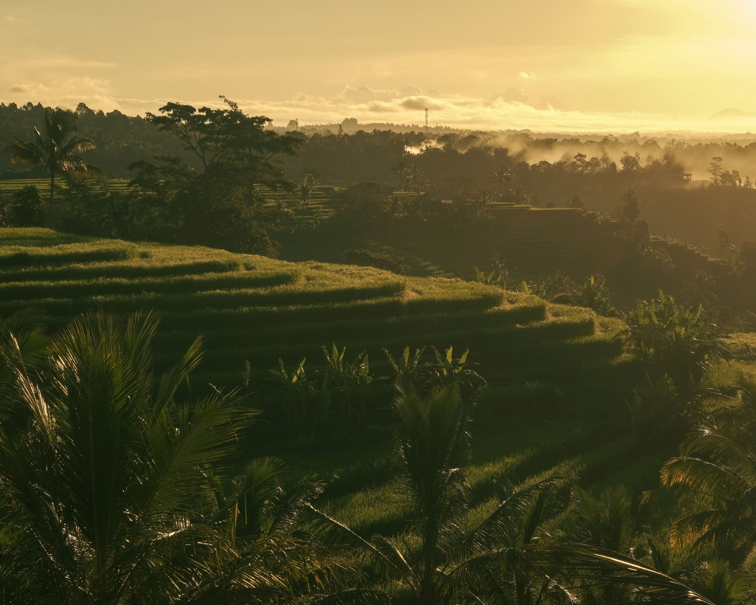 Ubud