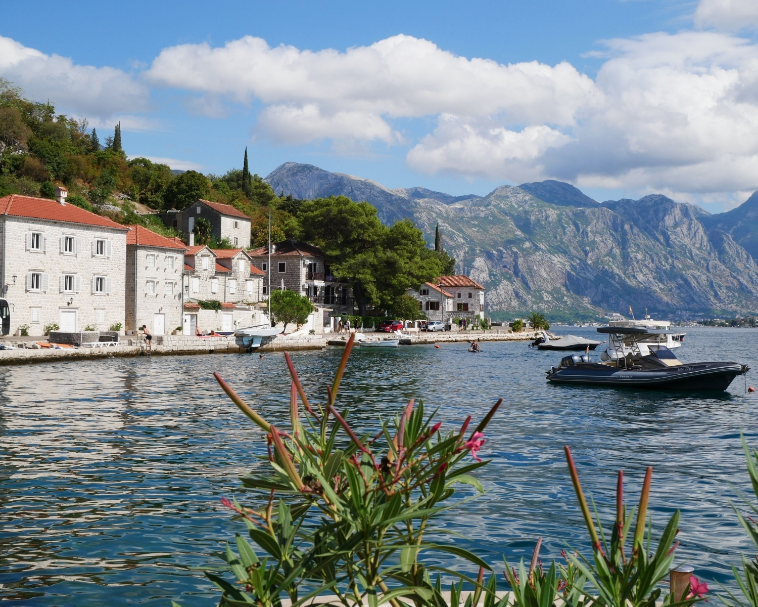 Kotor