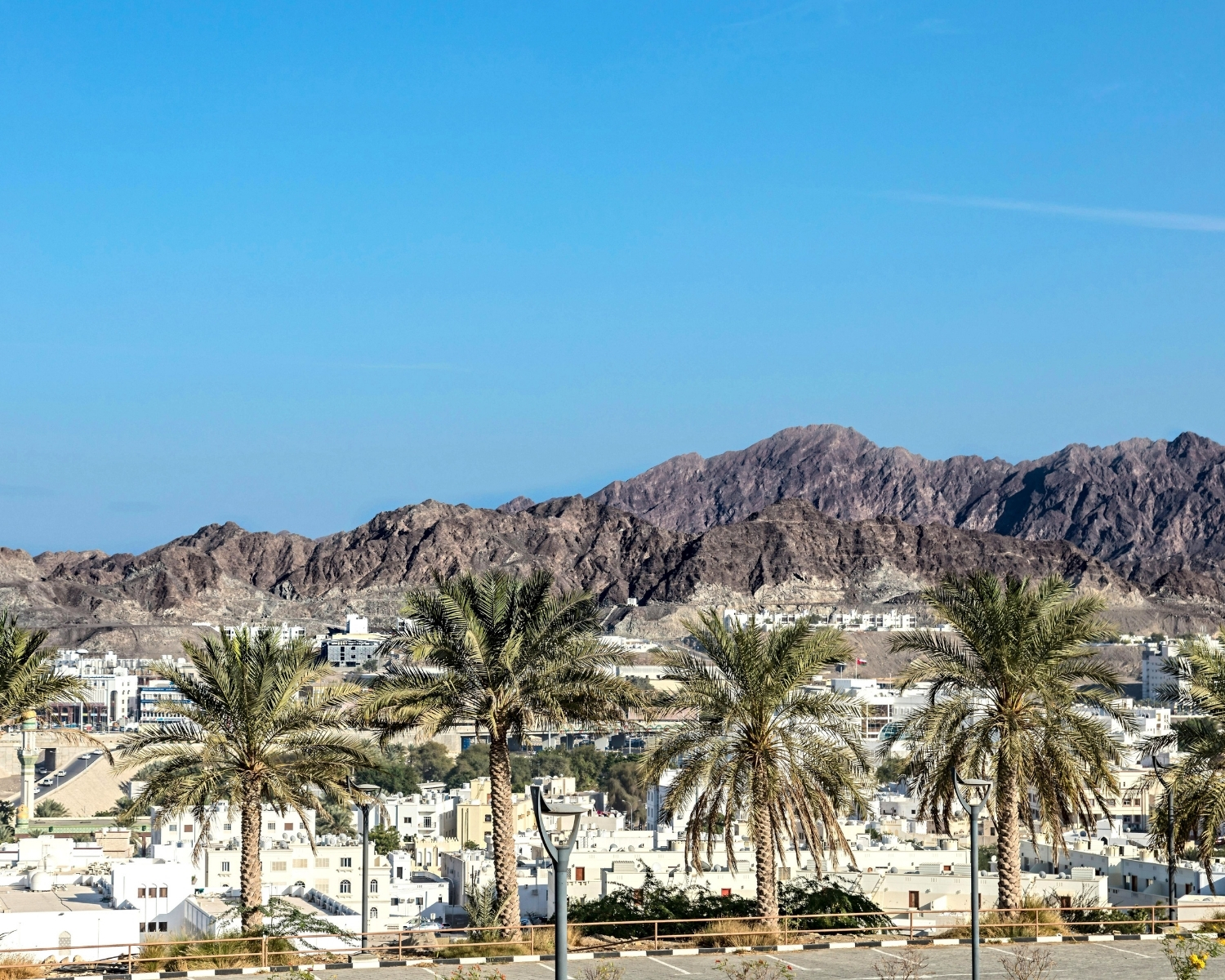 Muscat