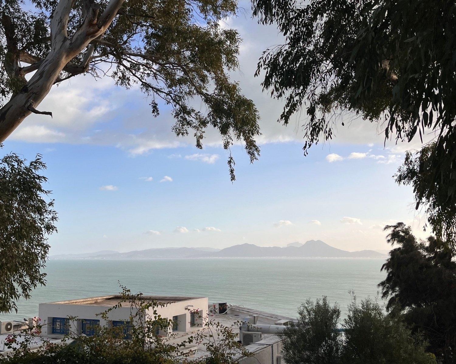 Tunis