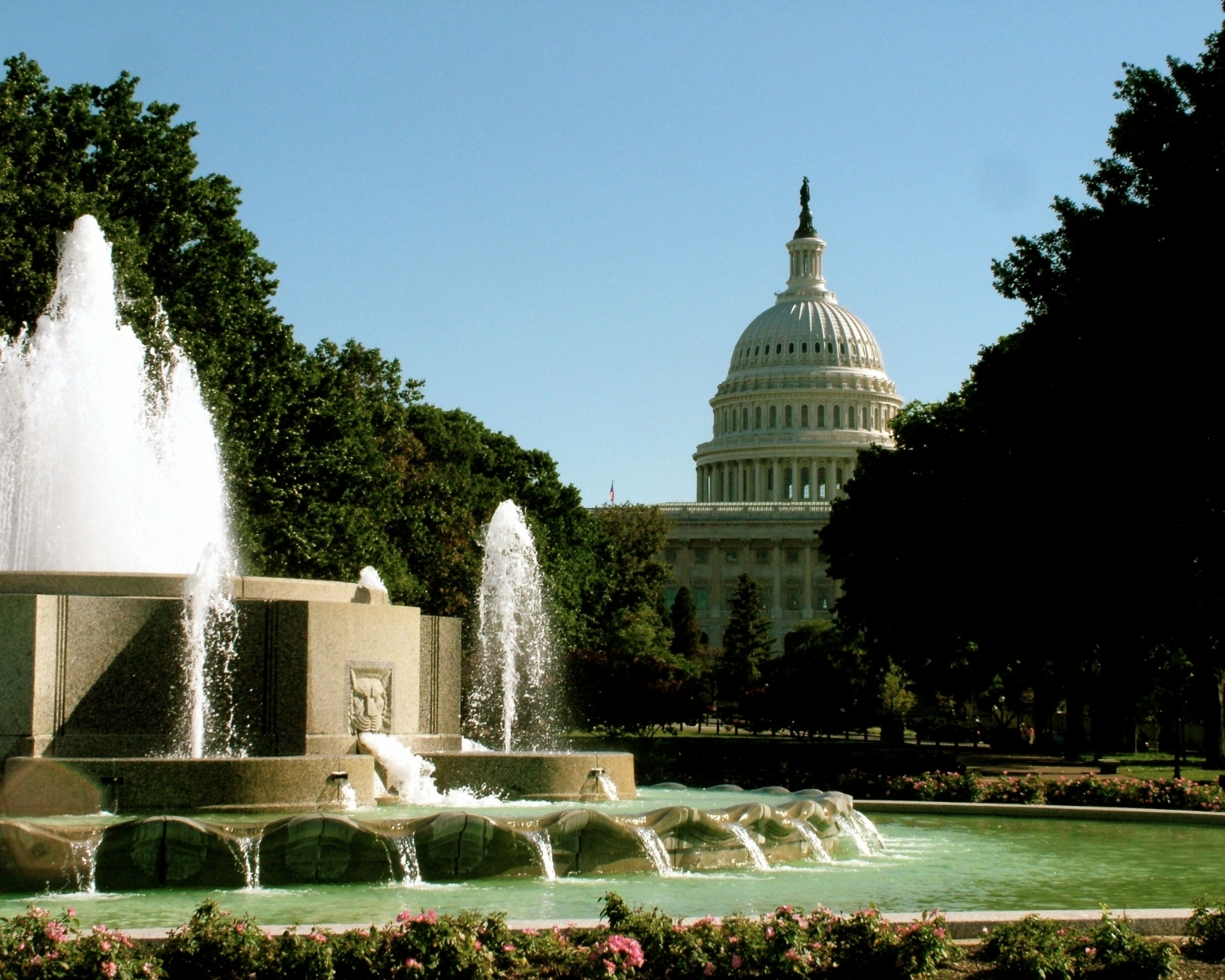 Washington DC